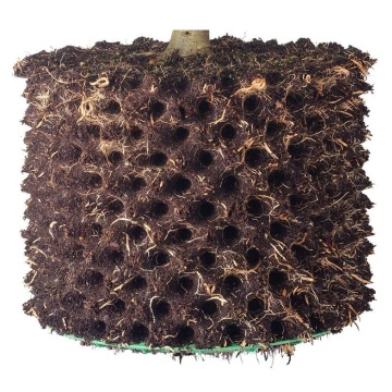 Ghiveci Air Pruning Root Plus - Stimulează dezvolării rădăcinii și previne încâlcirea