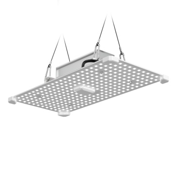 LUMii BLACK Blade LED 100W, PPF 260 µmol/s - lampă horticolă led pentru creștere