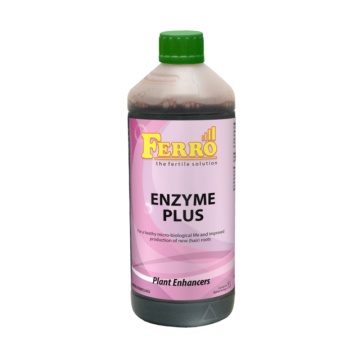 Ferro ENZYM PLUS