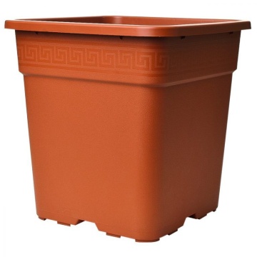 Ghiveci pătrat teracota Vega