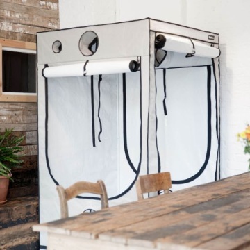 Cort de cultivare HOMEbox Ambient Q100+
