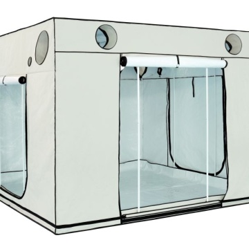 HOMEbox Ambient Q300+ (300x300x220cm)