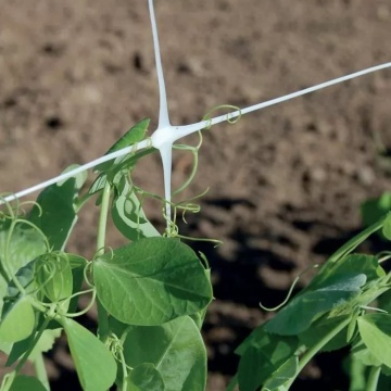Plasă de susținere pentru plante cățărătoare
