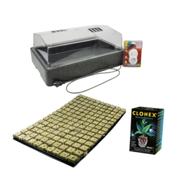Set pentru colonare - propagator + tavă cu cuburi + Clonex 50ml