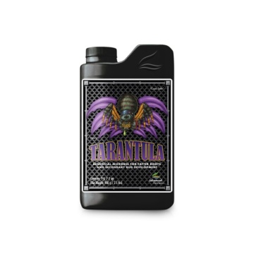 Tarantula – Bacterii benefice pentru sănătatea rădăcinilor