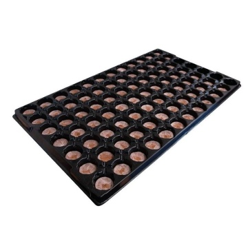 Tavă Jiffy de germinare și propagare cu 84 de alveole de 33mm
