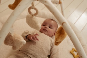 Baby Gym "Newborn Naturals": Prirodna Oaza za Otkrivanje - Img 8