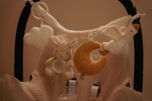 Visilica za kola "Newborn Naturals" - Mekani saputnik - Img 4