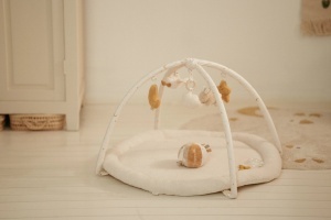Baby Gym "Newborn Naturals": Prirodna Oaza za Otkrivanje - Img 12