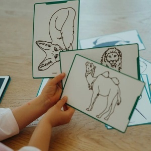KidyWolf Dodatne karte za LCD Notes - Životinje & Okean - Img 2