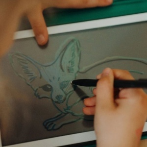 KidyWolf Dodatne karte za LCD Notes - Životinje & Okean - Img 9