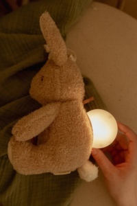Zvučna Mazilica i Noćna Lampa - Zeka - Img 4