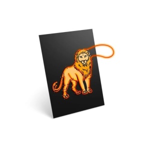 KidyWolf KIDYNEON – Kreativni neon set za decu, Životinje