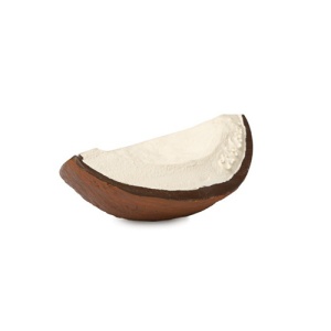 Kokos Coco: Glodalica od 100% prirodne gume