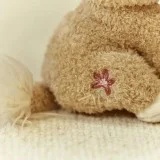 Plišana igračka Lavica, 17 cm – Safari Friends - Img 5