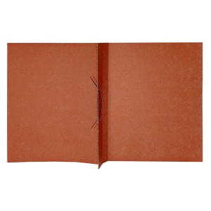 Dosar carton color cu sina, 300 g/mp, 50 buc/set, verde, PAPERLAND - Img 2
