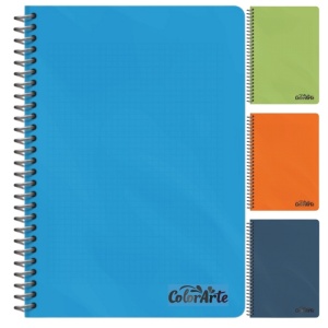 Caiet cu spirala A4, 100 file, coperta plastic, matematica, ColorArte