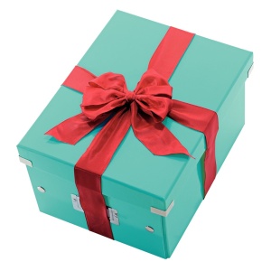 Cutie depozitare medie, 369x281x200 mm, carton, turcoaz, LEITZ Click&Store - Img 4