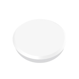 Magneti pentru table, D 24 mm, 10 buc/cutie, alb, ALCO