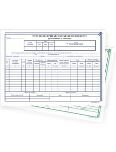 Nota de receptie si constatare diferente, autocopiativ, A4, 2 exemplare, 3 buc/set