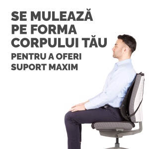 Suport ergonomic pentru spate FELLOWES Mesh Professional - Img 4