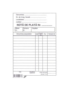 Nota de plata ospatar, A6, 100 file/set, 3 buc/set