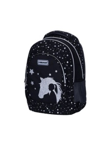 Rucsac scolar, 3 compartimente, colectia Silver Dream, ASTRA Head