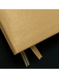 Caiet cu elastic A5, dictando, 125 file, LEUCHTTURM1917 Metallic - Auriu - Img 6