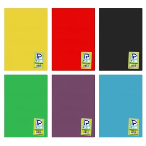 Caiet scolar A4, 80 file, coperta plastic, matematica, PAPERLAND