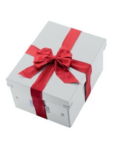 Cutie depozitare mica, 220x160x282 mm, alb, LEITZ WOW Click&Store - Img 3