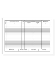Dispozitie de livrare, A5, 100 file - Img 2