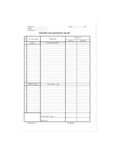 Raport gestiune zilnic A4, 100 file, 3 buc/set
