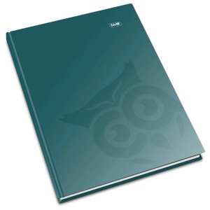Registru A4, 192 file, coperti carton rigid, dictando, EDUCA - Img 5