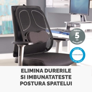 Suport ergonomic pentru spate FELLOWES Mesh Professional - Img 5