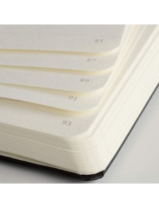Caiet cu elastic A5, velin, 125 file, LEUCHTTURM1917 Metallic - Auriu - Img 4