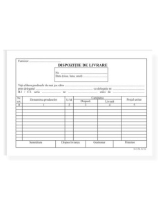 Dispozitie de livrare, A5, 100 file
