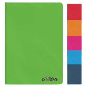 Caiet scolar A4, 80 file, coperta PP, matematica, COLORATE