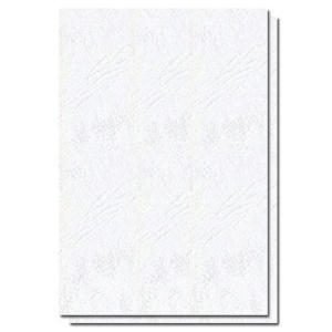 Coperti carton imitatie piele, A4, 250 g/mp, alb, 100 coli/top
