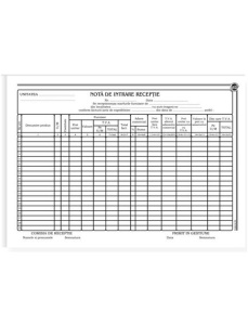 Nota de intrare receptie cu TVA, A4, 100 file, 3 buc/set