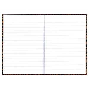 Registru A4, 192 file, coperti carton rigid, dictando, EDUCA - Img 9