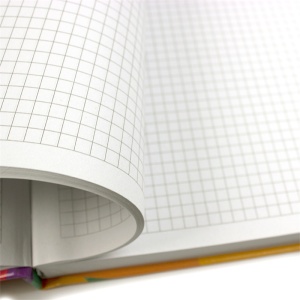 Registru A4, 200 file, coperti cartonate, matematica, EVO - Img 2