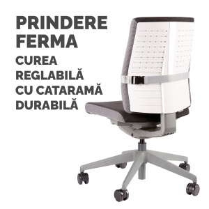 Suport ergonomic pentru spate FELLOWES I-Spire - Img 3