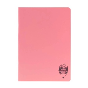 Caiet A4, 100 file, coperta PP, dictando, Atinge Excelenta DACO - Img 4