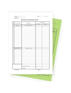 Raport gestiune zilnic, autocopiativ, A4, 2 exemplare, 3 buc/set