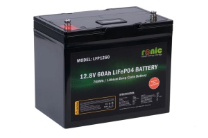 Baterie Acumulator LiFePO4, 12.8V 60Ah, model LFP1260 - Img 3