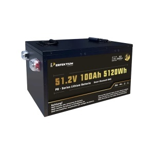 Baterie cu litiu Perfektium SERIA PB LiFePO4 51,2 V 100 Ah Smart BMS cu Bluetooth - Img 2