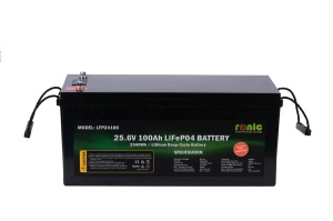 Baterie Acumulator LiFePO4, 25.6V 100Ah, model LFP24100