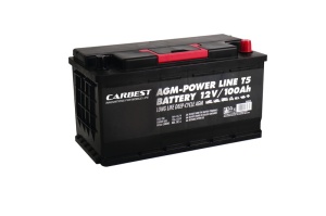 Baterie AGM 100Ah 353x175x190mm pentru T5 T6