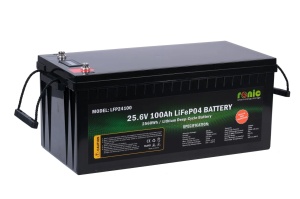 Baterie Acumulator LiFePO4, 25.6V 100Ah, model LFP24100 - Img 2