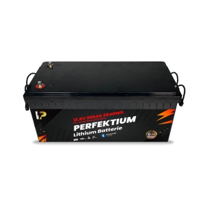 Baterie Litiu 300Ah PRO 12V LiFePO4 Smart BMS Bluetooth Perfectium - Img 3